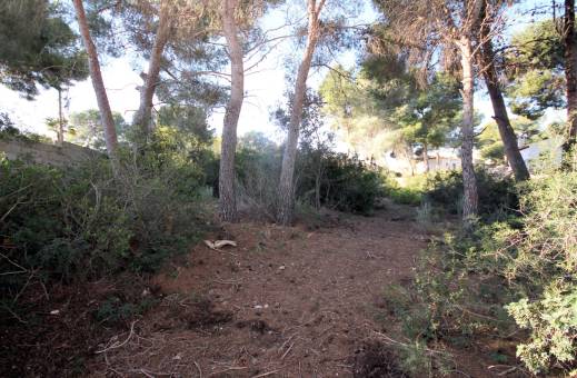 Plot - Re-sale - Benissa Costa - Fanadix